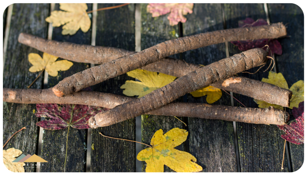 black salsify