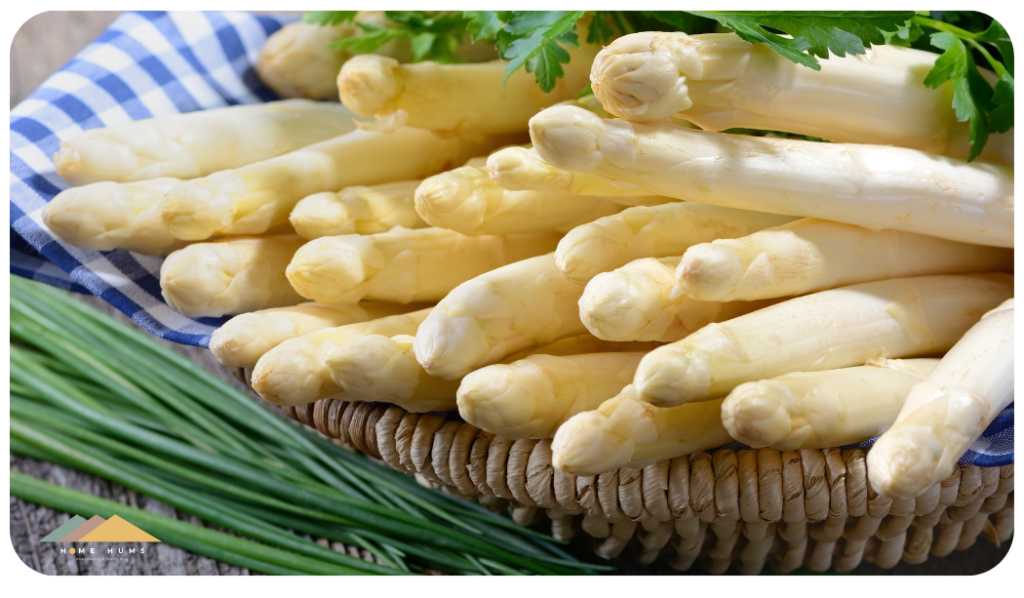 white Asparagus is a famous spring vegetable in Germany