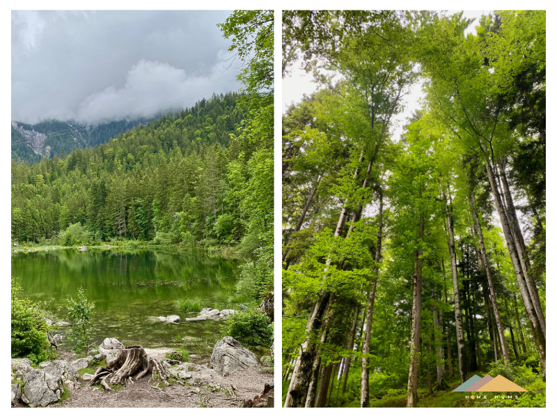 family travel guide to eibsee